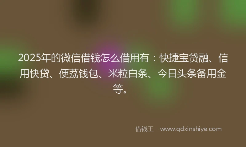 2025年的微信借钱怎么借用有：快捷宝贷融、信用快贷、便荔钱包、米粒白条、今日头条备用金等。
