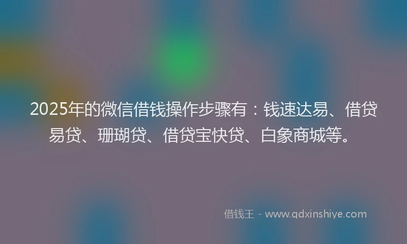 2025年的微信借钱操作步骤有：钱速达易、借贷易贷、珊瑚贷、借贷宝快贷、白象商城等。