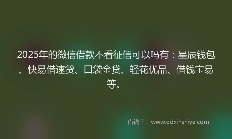 2025年的微信借款不看征信可以吗有：星辰钱包、快易借速贷、口袋金贷、轻花优品、借钱宝易等。