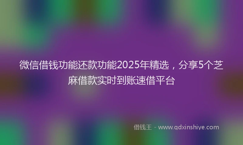 微信借钱功能还款功能2025年精选，分享5个芝麻借款实时到账速借平台