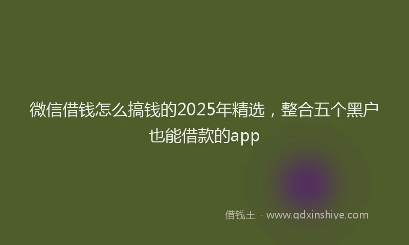 微信借钱怎么搞钱的2025年精选，整合五个黑户也能借款的app