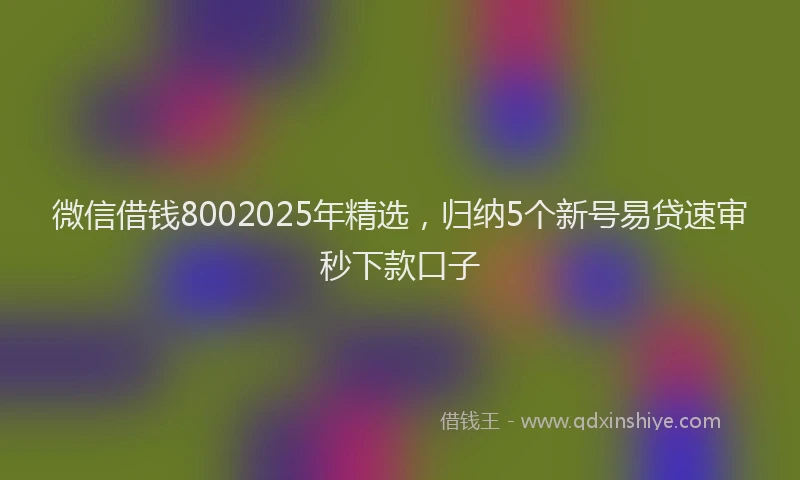 微信借钱8002025年精选，归纳5个新号易贷速审秒下款口子