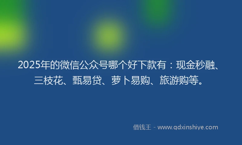 2025年的微信公众号哪个好下款有：现金秒融、三枝花、甄易贷、萝卜易购、旅游购等。