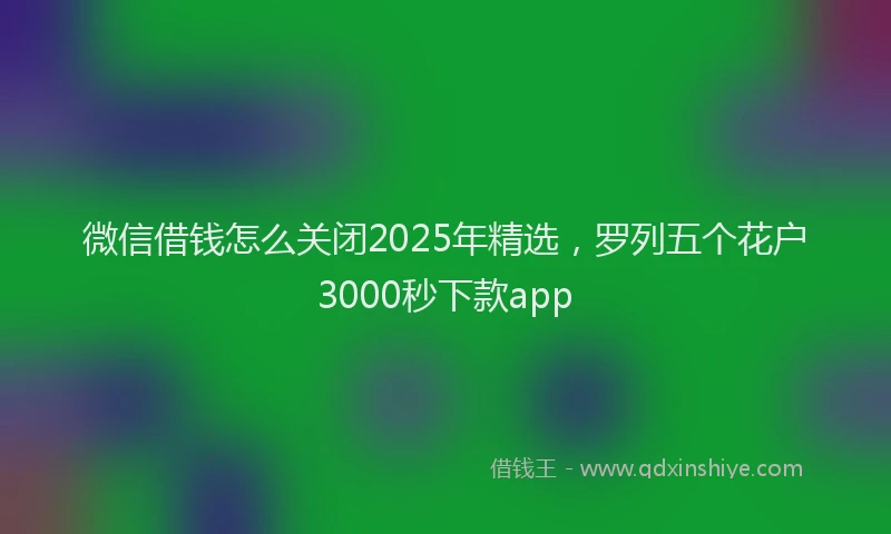 微信借钱怎么关闭2025年精选，罗列五个花户3000秒下款app
