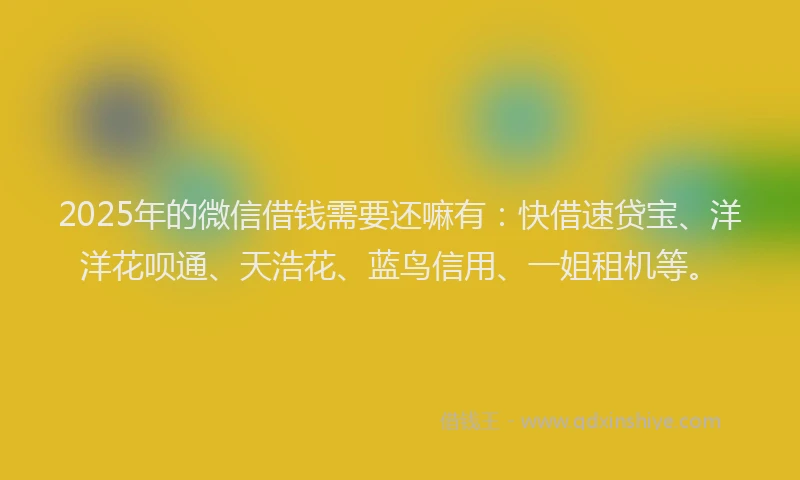 2025年的微信借钱需要还嘛有：快借速贷宝、洋洋花呗通、天浩花、蓝鸟信用、一姐租机等。