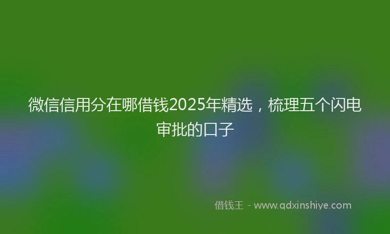 微信信用分在哪借钱2025年精选，梳理五个闪电审批的口子