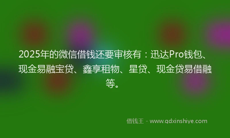 2025年的微信借钱还要审核有：迅达Pro钱包、现金易融宝贷、鑫享租物、星贷、现金贷易借融等。