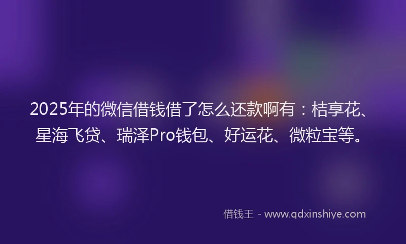 2025年的微信借钱借了怎么还款啊有：桔享花、星海飞贷、瑞泽Pro钱包、好运花、微粒宝等。