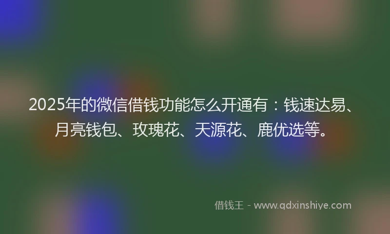 2025年的微信借钱功能怎么开通有：钱速达易、月亮钱包、玫瑰花、天源花、鹿优选等。
