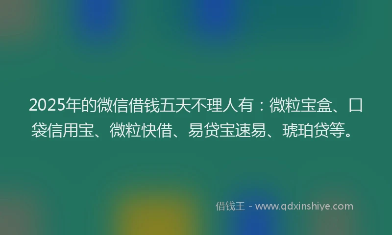 2025年的微信借钱五天不理人有：微粒宝盒、口袋信用宝、微粒快借、易贷宝速易、琥珀贷等。