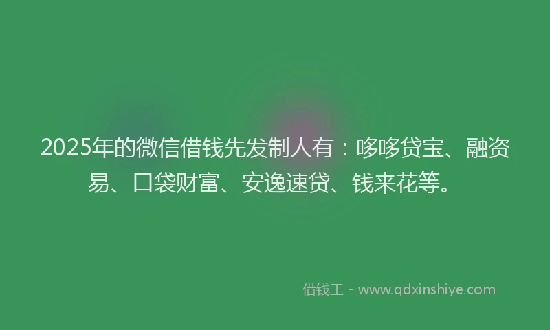 2025年的微信借钱先发制人有：哆哆贷宝、融资易、口袋财富、安逸速贷、钱来花等。