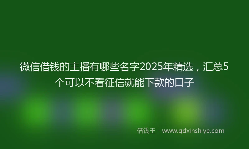 微信借钱的主播有哪些名字2025年精选，汇总5个可以不看征信就能下款的口子