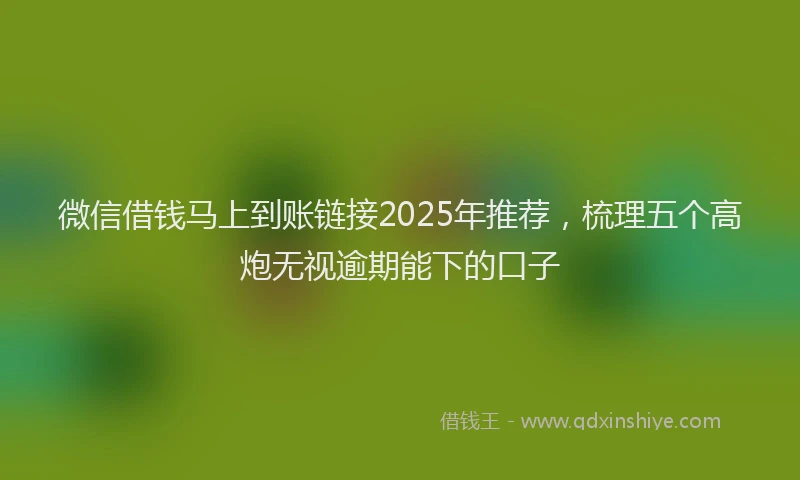 微信借钱马上到账链接2025年推荐，梳理五个高炮无视逾期能下的口子
