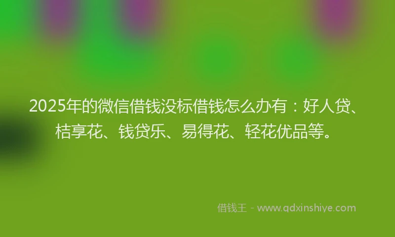 2025年的微信借钱没标借钱怎么办有：好人贷、桔享花、钱贷乐、易得花、轻花优品等。