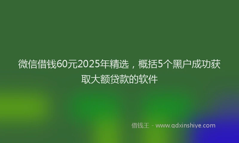 微信借钱60元2025年精选，概括5个黑户成功获取大额贷款的软件
