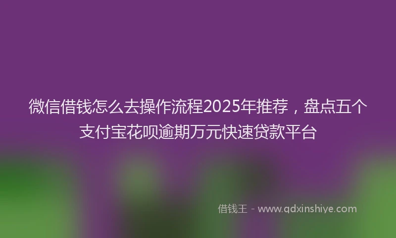 微信借钱怎么去操作流程2025年推荐，盘点五个支付宝花呗逾期万元快速贷款平台