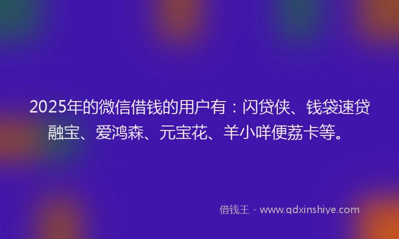 2025年的微信借钱的用户有：闪贷侠、钱袋速贷融宝、爱鸿森、元宝花、羊小咩便荔卡等。