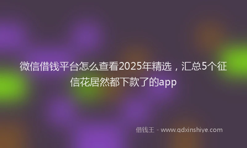 微信借钱平台怎么查看2025年精选，汇总5个征信花居然都下款了的app