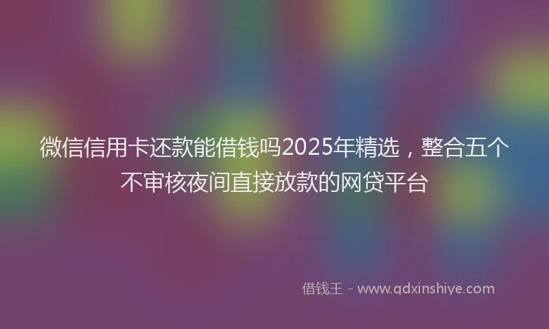 微信信用卡还款能借钱吗2025年精选，整合五个不审核夜间直接放款的网贷平台