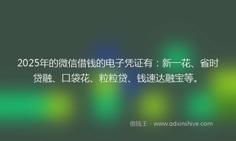 2025年的微信借钱的电子凭证有：新一花、省时贷融、口袋花、粒粒贷、钱速达融宝等。