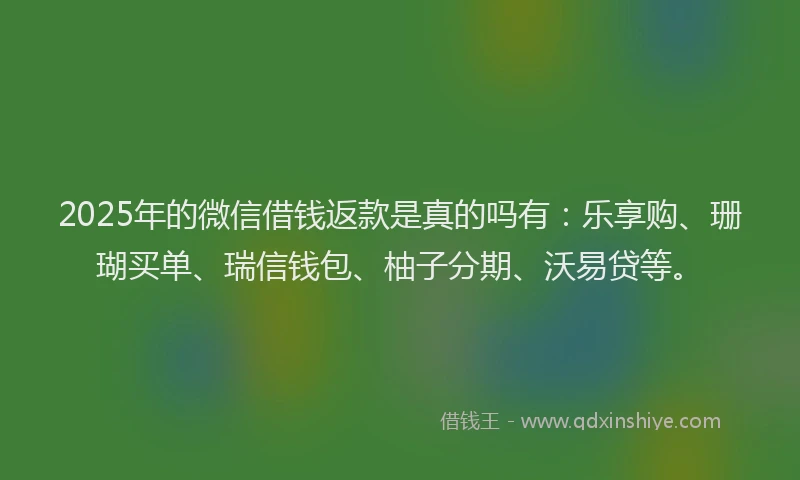 2025年的微信借钱返款是真的吗有：乐享购、珊瑚买单、瑞信钱包、柚子分期、沃易贷等。