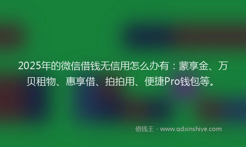 2025年的微信借钱无信用怎么办有：蒙享金、万贝租物、惠享借、拍拍用、便捷Pro钱包等。