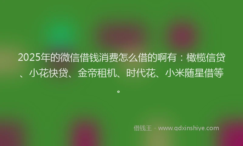 2025年的微信借钱消费怎么借的啊有：橄榄信贷、小花快贷、金帝租机、时代花、小米随星借等。