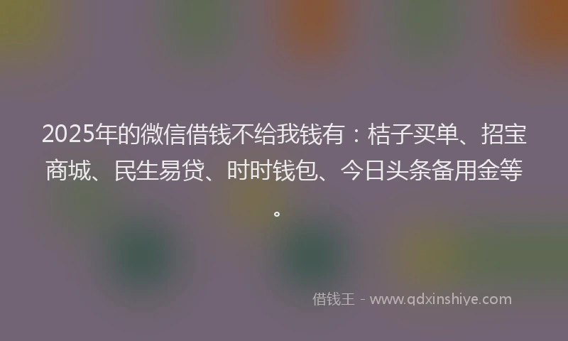 2025年的微信借钱不给我钱有：桔子买单、招宝商城、民生易贷、时时钱包、今日头条备用金等。