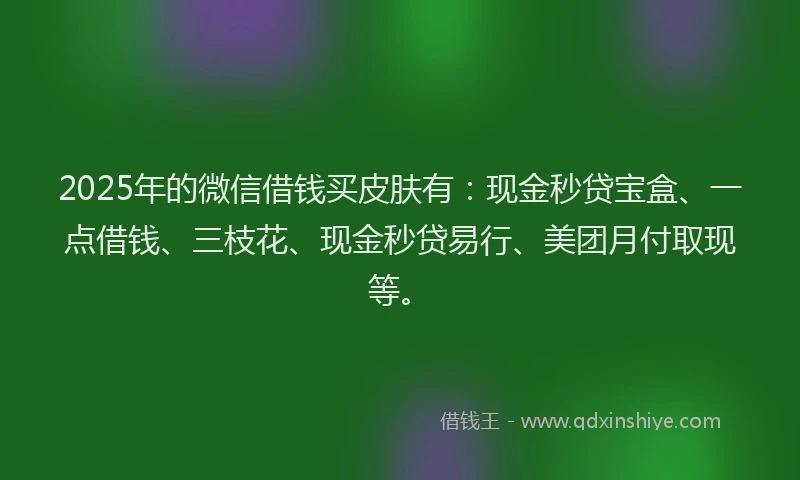 2025年的微信借钱买皮肤有：现金秒贷宝盒、一点借钱、三枝花、现金秒贷易行、美团月付取现等。