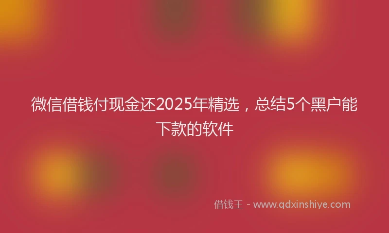 微信借钱付现金还2025年精选，总结5个黑户能下款的软件