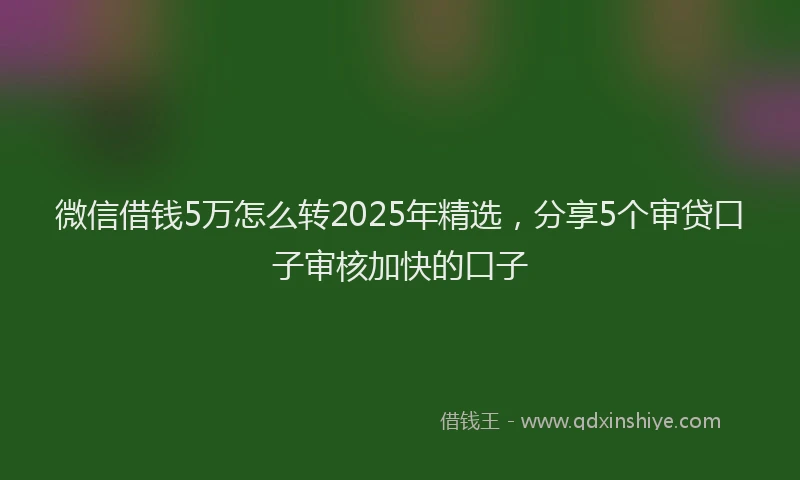 微信借钱5万怎么转2025年精选，分享5个审贷口子审核加快的口子