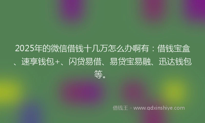 2025年的微信借钱十几万怎么办啊有：借钱宝盒、速享钱包+、闪贷易借、易贷宝易融、迅达钱包等。