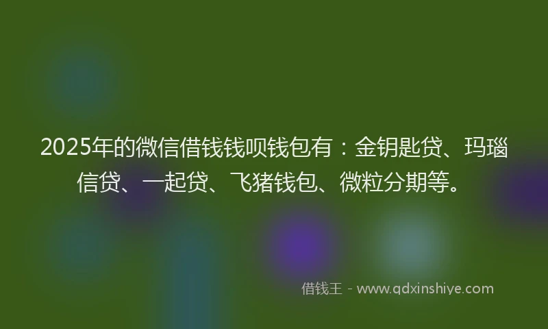 2025年的微信借钱钱呗钱包有：金钥匙贷、玛瑙信贷、一起贷、飞猪钱包、微粒分期等。