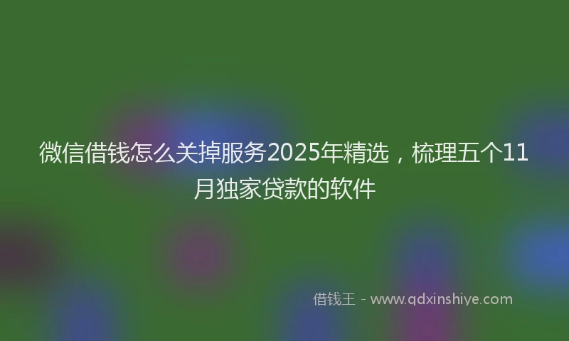 微信借钱怎么关掉服务2025年精选，梳理五个11月独家贷款的软件