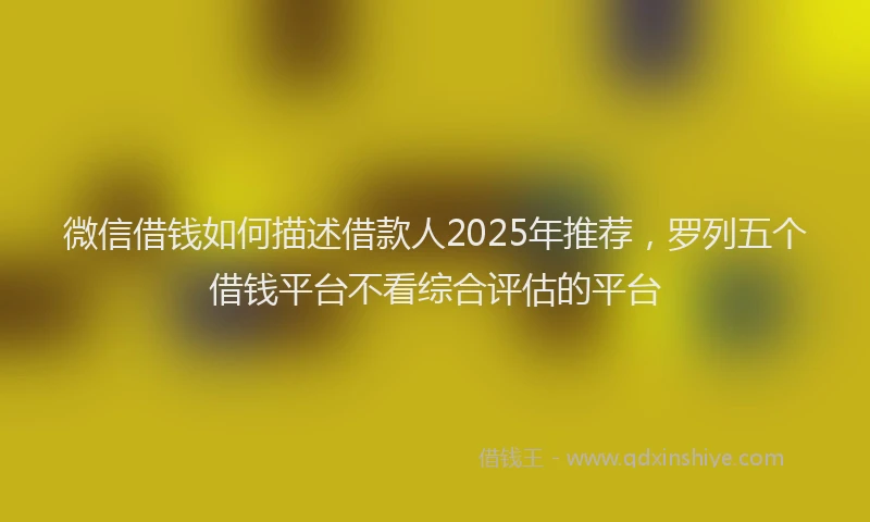 微信借钱如何描述借款人2025年推荐，罗列五个借钱平台不看综合评估的平台