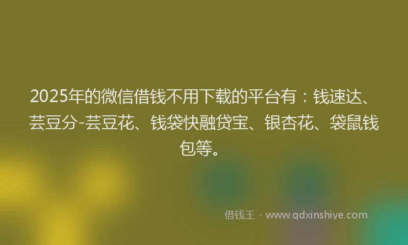 2025年的微信借钱不用下载的平台有：钱速达、芸豆分-芸豆花、钱袋快融贷宝、银杏花、袋鼠钱包等。