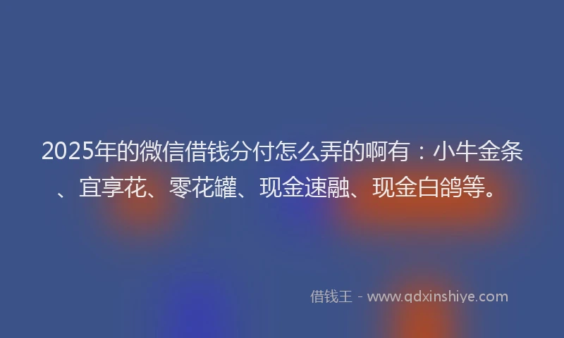 2025年的微信借钱分付怎么弄的啊有：小牛金条、宜享花、零花罐、现金速融、现金白鸽等。