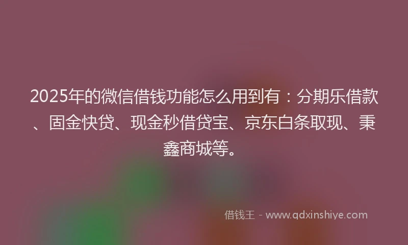 2025年的微信借钱功能怎么用到有：分期乐借款、固金快贷、现金秒借贷宝、京东白条取现、秉鑫商城等。