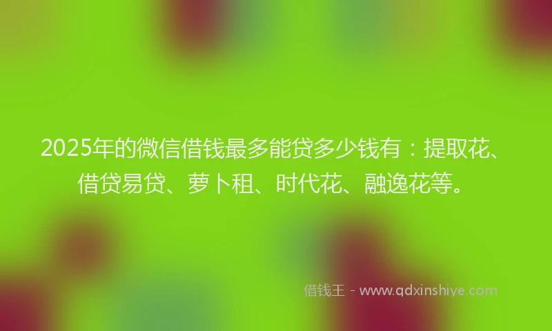 2025年的微信借钱最多能贷多少钱有：提取花、借贷易贷、萝卜租、时代花、融逸花等。