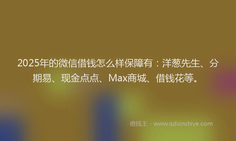 2025年的微信借钱怎么样保障有：洋葱先生、分期易、现金点点、Max商城、借钱花等。