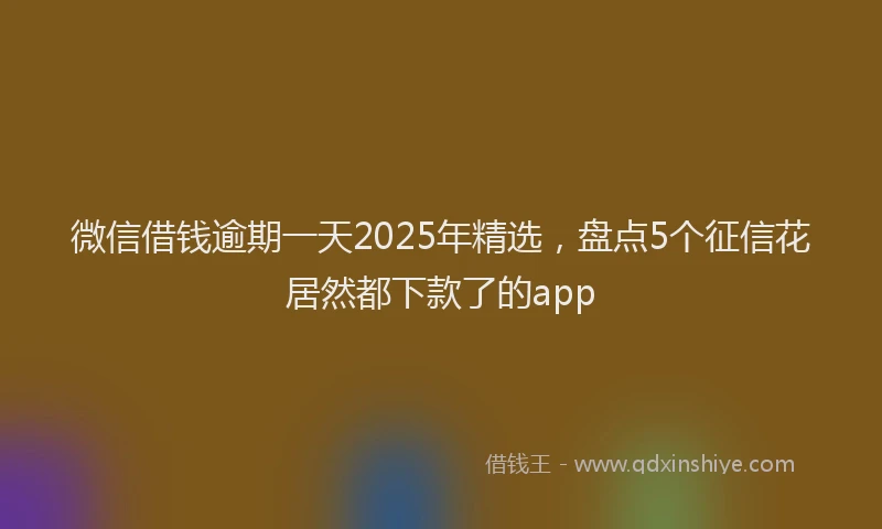 微信借钱逾期一天2025年精选，盘点5个征信花居然都下款了的app