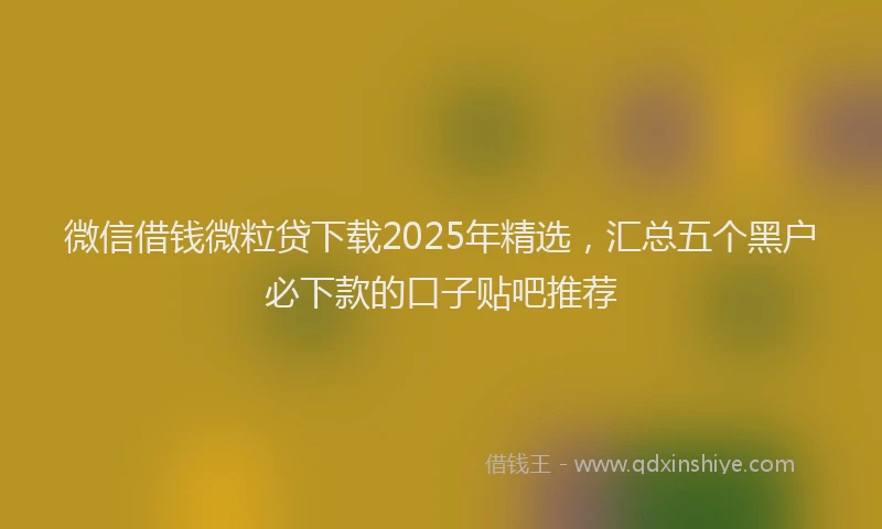 微信借钱微粒贷下载2025年精选，汇总五个黑户必下款的口子贴吧推荐