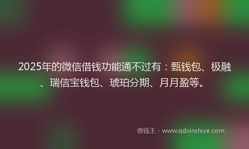 2025年的微信借钱功能通不过有：甄钱包、极融、瑞信宝钱包、琥珀分期、月月盈等。