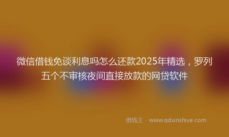 微信借钱免谈利息吗怎么还款2025年精选，罗列五个不审核夜间直接放款的网贷软件