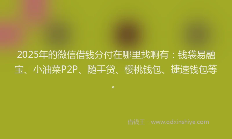 2025年的微信借钱分付在哪里找啊有：钱袋易融宝、小油菜P2P、随手贷、樱桃钱包、捷速钱包等。