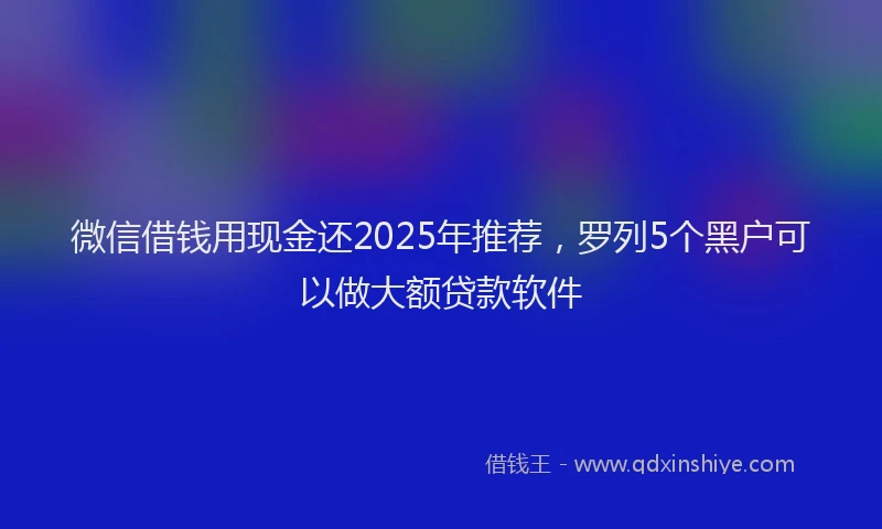 微信借钱用现金还2025年推荐，罗列5个黑户可以做大额贷款软件