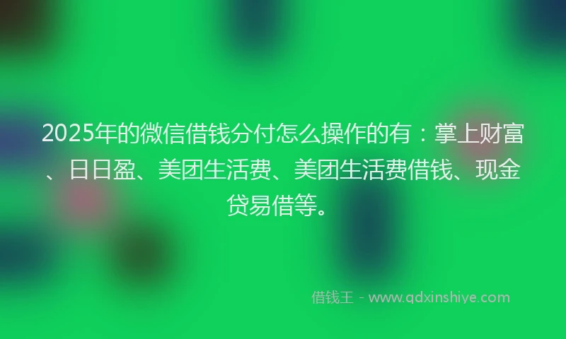 2025年的微信借钱分付怎么操作的有：掌上财富、日日盈、美团生活费、美团生活费借钱、现金贷易借等。