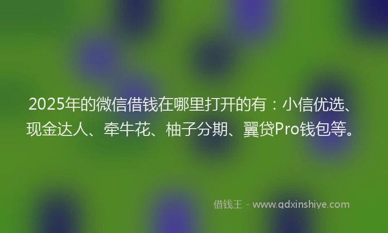 2025年的微信借钱在哪里打开的有：小信优选、现金达人、牵牛花、柚子分期、翼贷Pro钱包等。