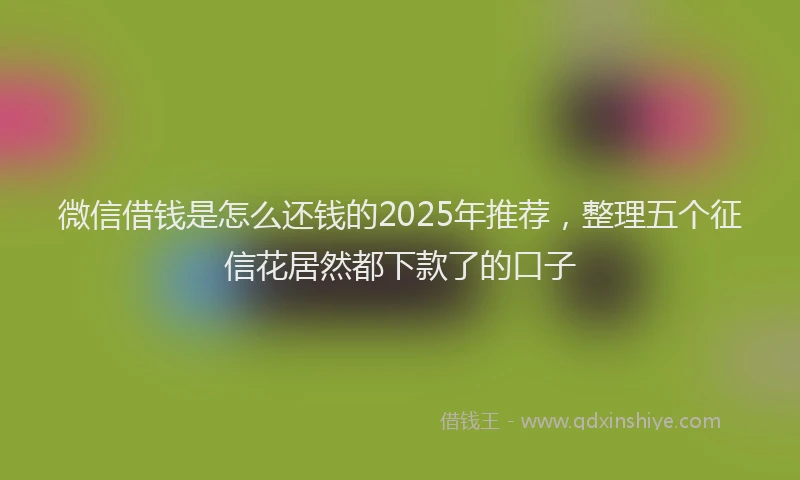 微信借钱是怎么还钱的2025年推荐，整理五个征信花居然都下款了的口子