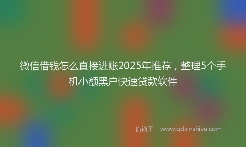 微信借钱怎么直接进账2025年推荐，整理5个手机小额黑户快速贷款软件
